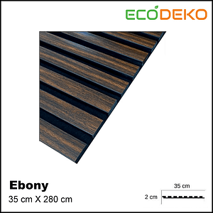 Acoustic Ebony
